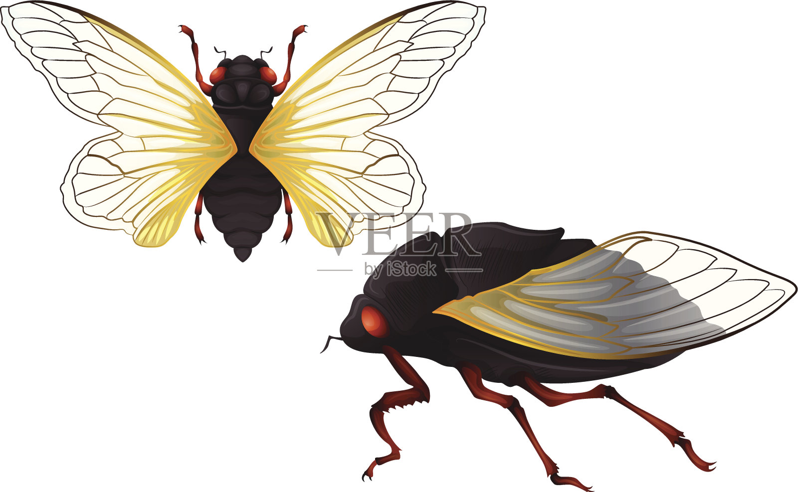 蝉设计元素图片