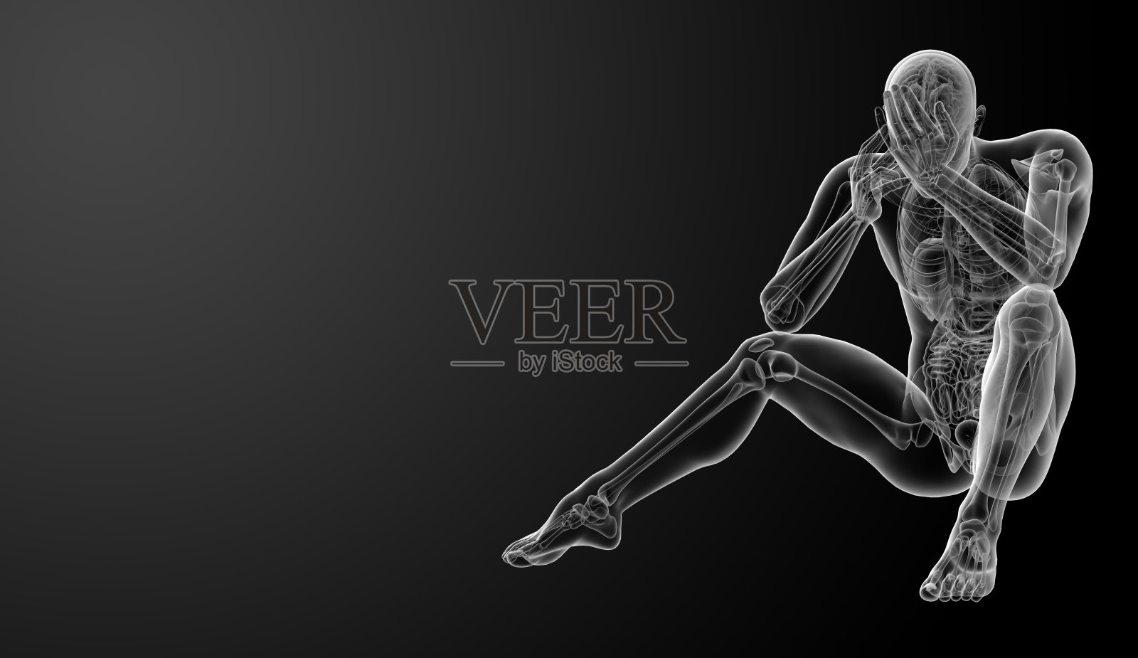 3d渲染人体解剖-正面视图照片摄影图片