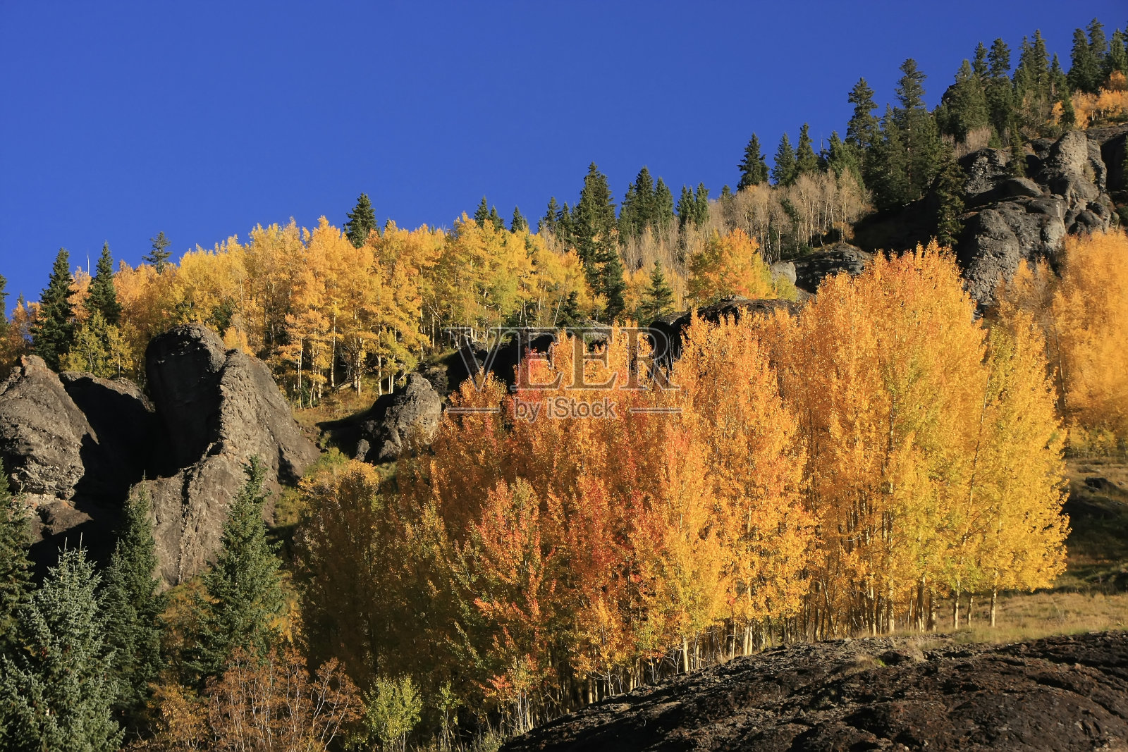 洋基男孩盆地，斯奈费尔斯山荒野，科罗拉多州照片摄影图片