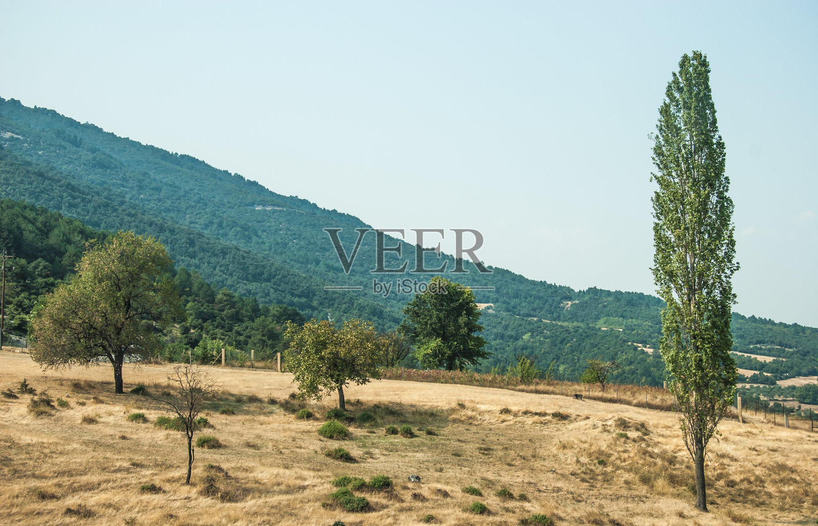 山景-奥林匹斯国家公园照片摄影图片