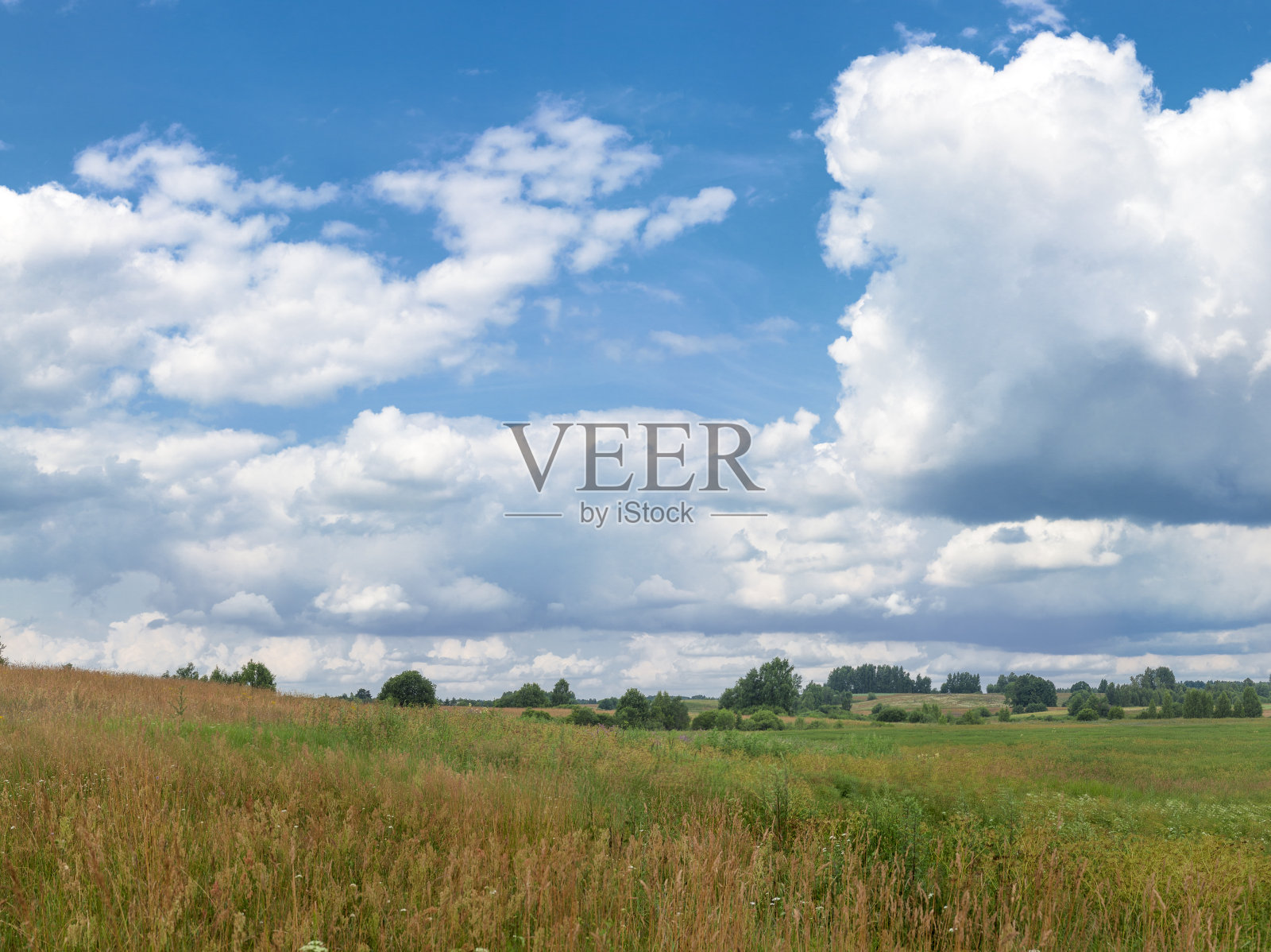 全景农场野生景观照片摄影图片