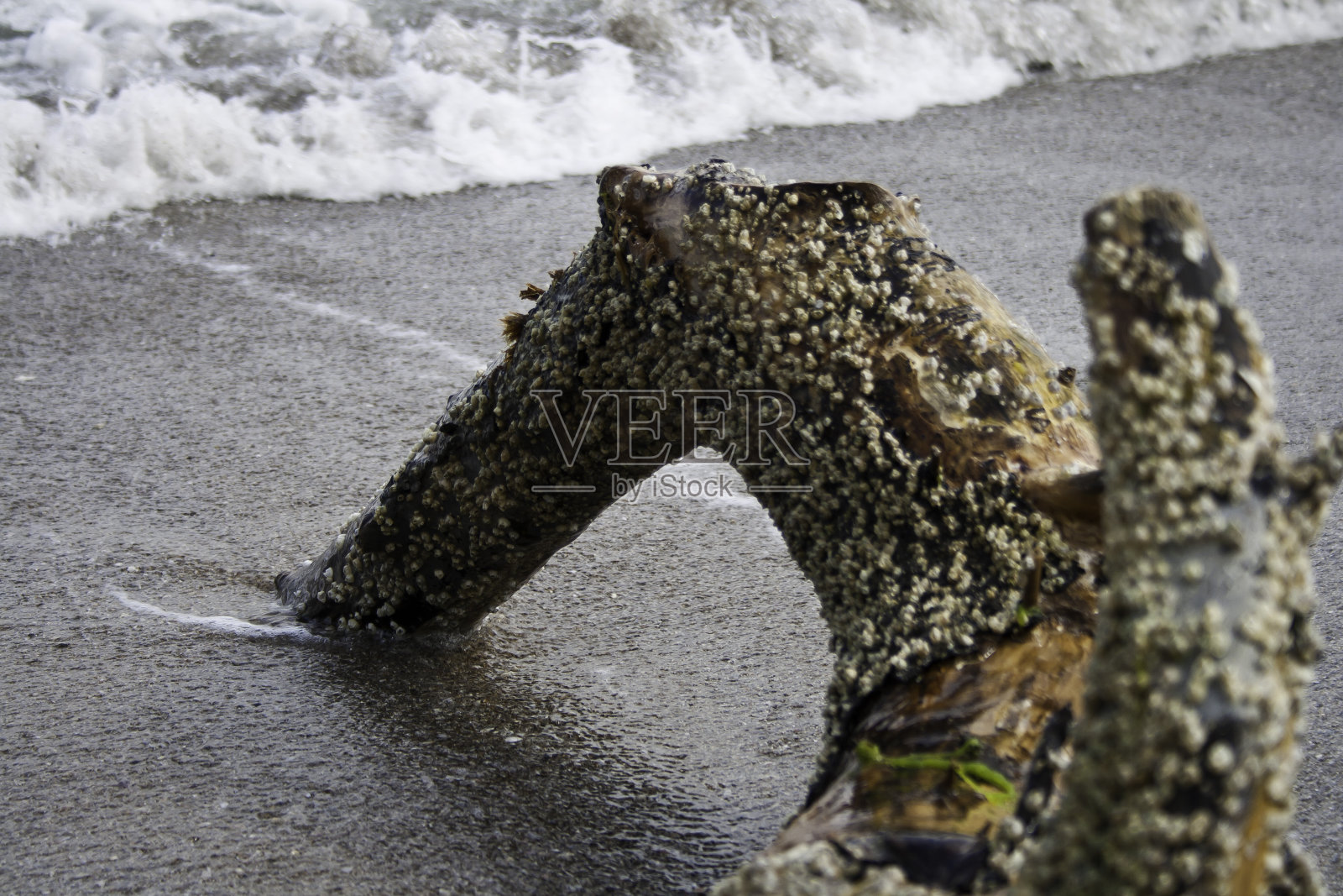 海分公司照片摄影图片