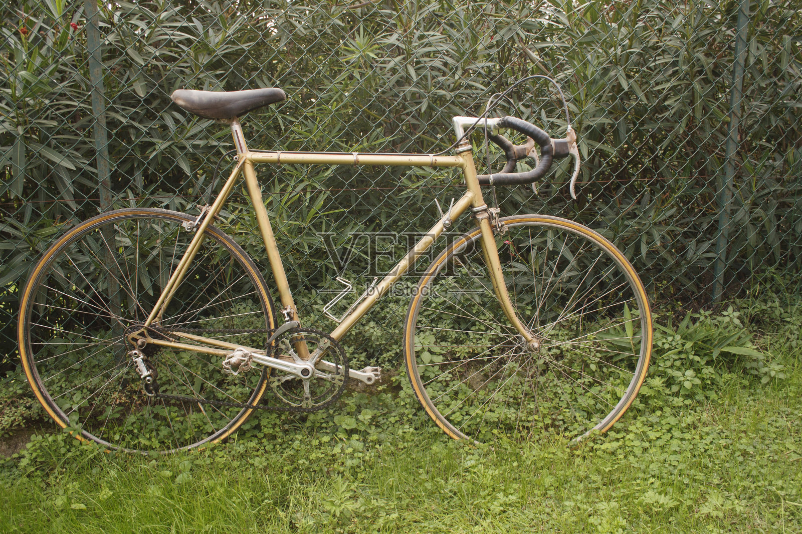 老生锈的自行车照片摄影图片