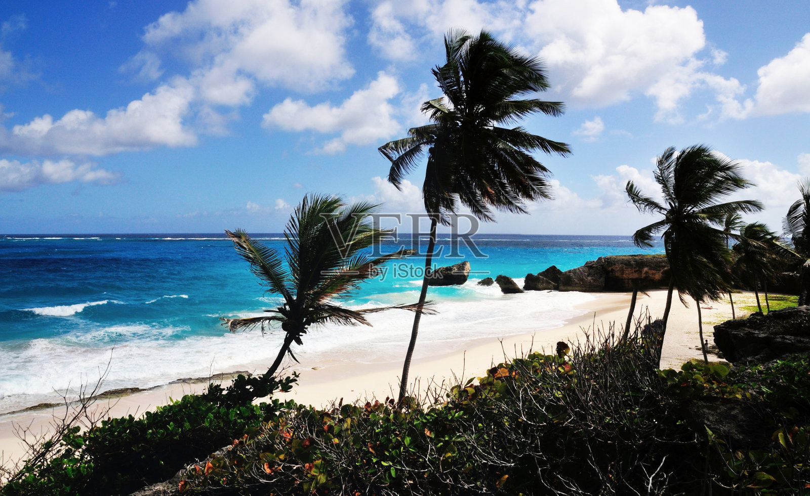 热带海滩照片摄影图片