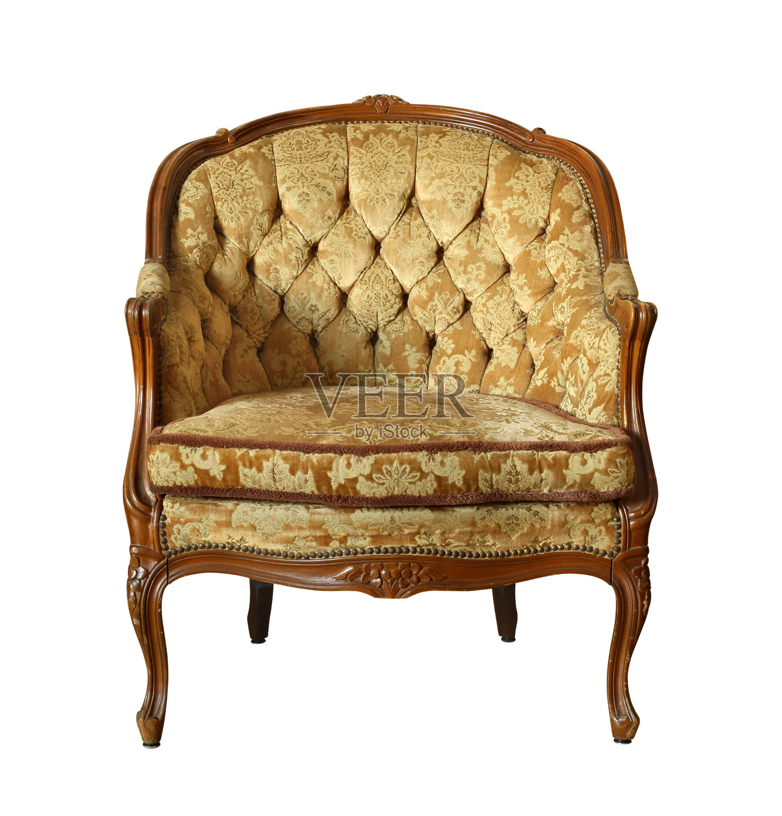 古董天鹅绒椅子上照片摄影图片