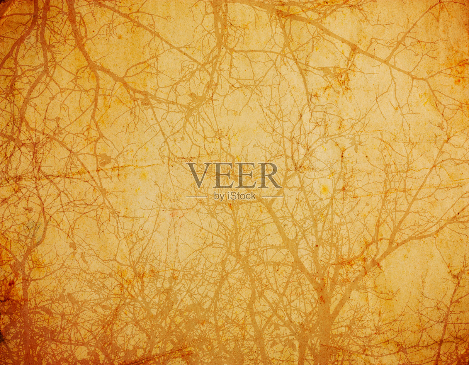 复古的背景与树枝照片摄影图片