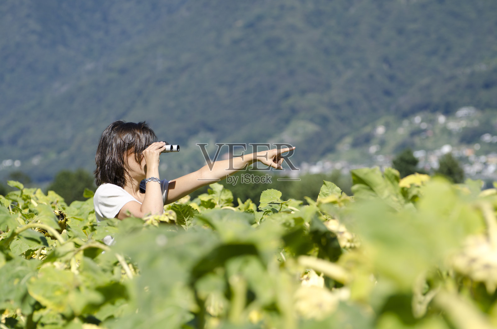 双筒望远镜照片摄影图片
