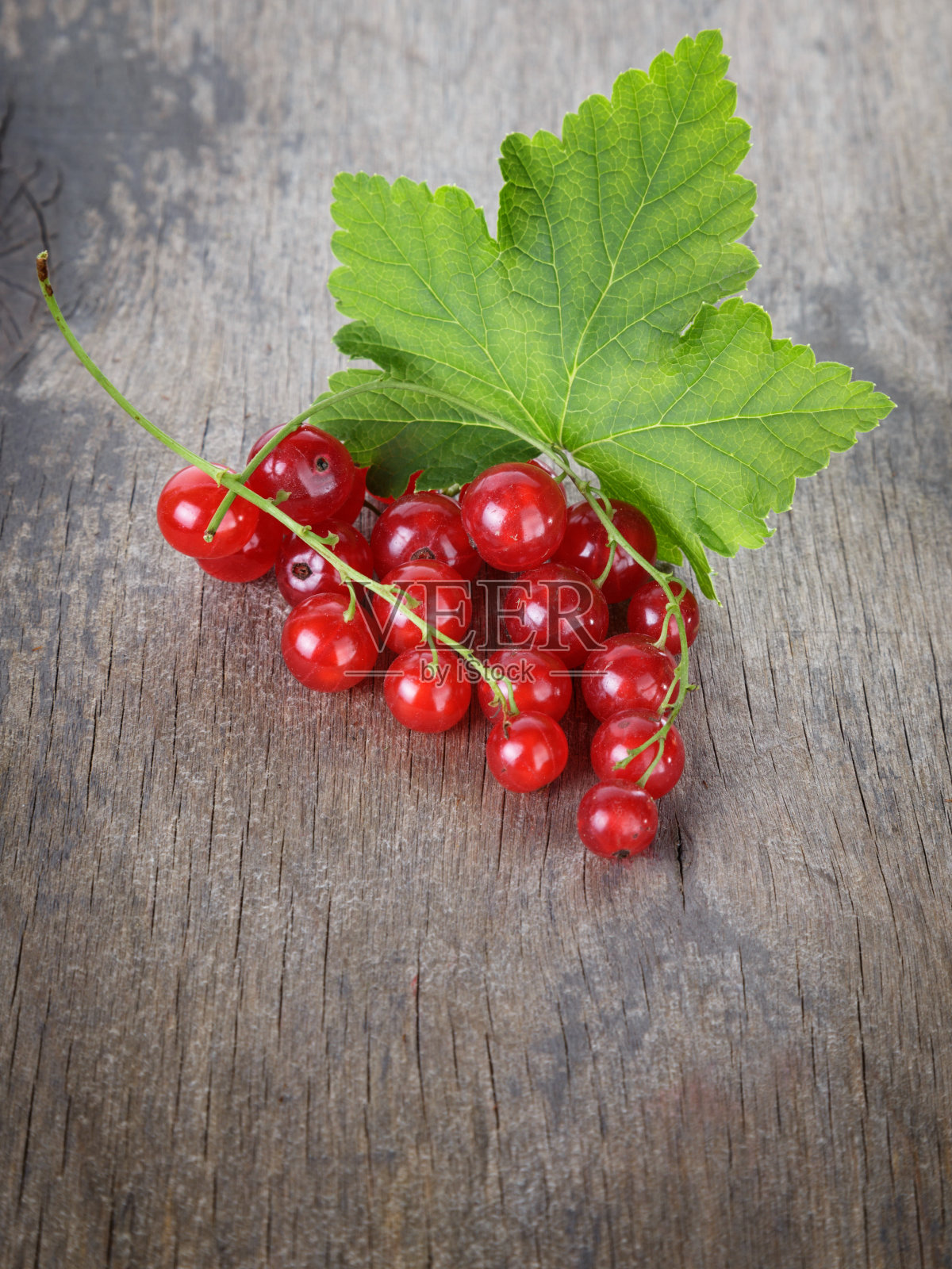 旧木桌上的红醋栗枝照片摄影图片