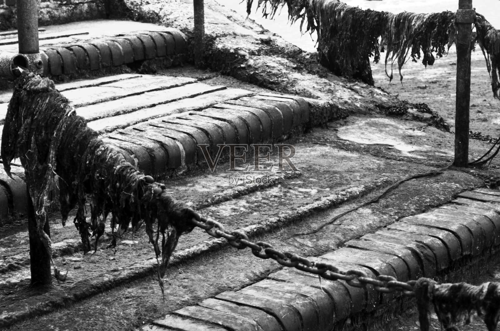 苔藓覆盖的楼梯照片摄影图片