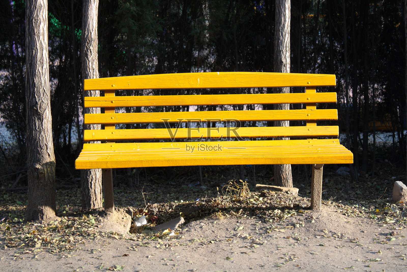 公园的椅子上照片摄影图片