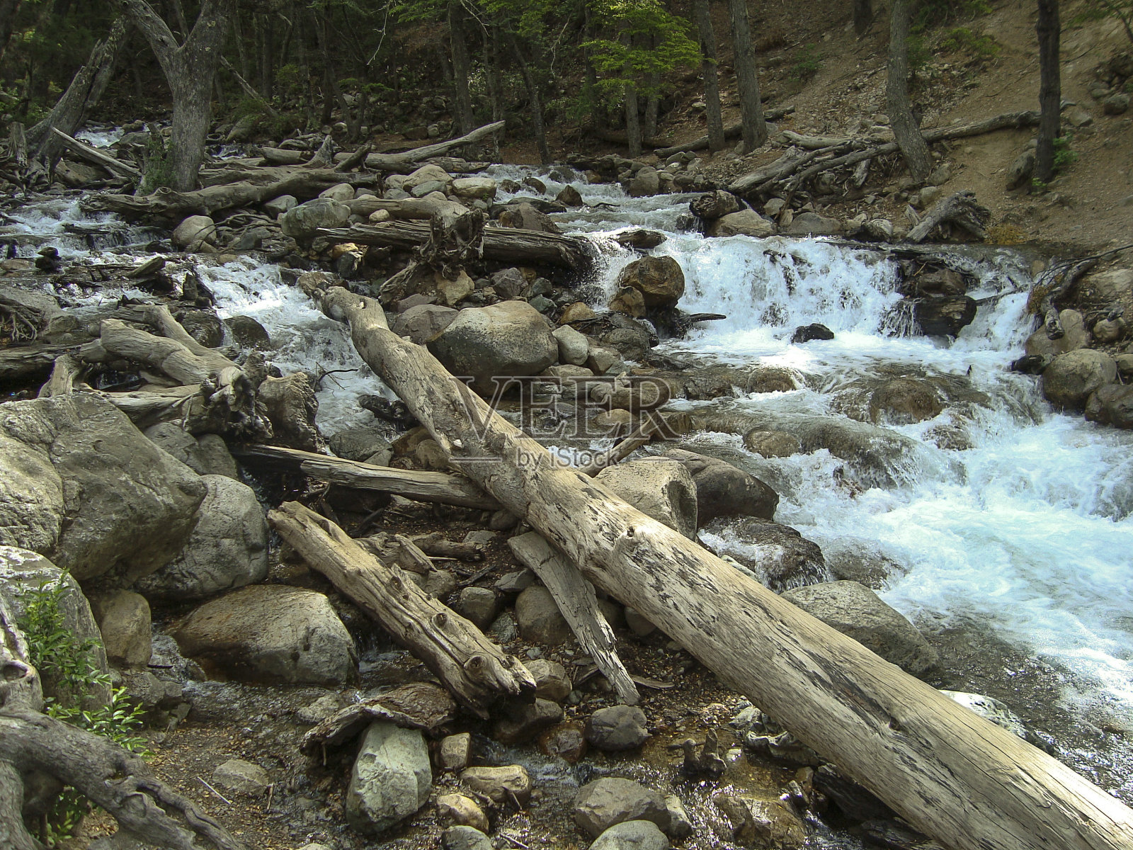 森林中的河流照片摄影图片