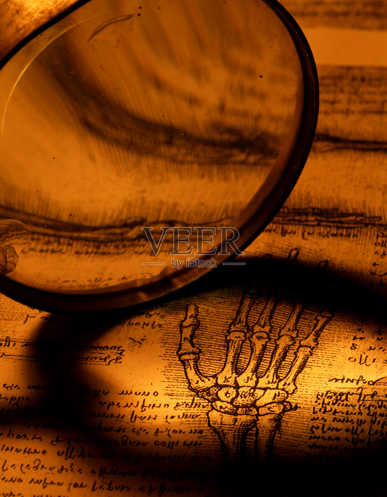 解剖学的艺术照片摄影图片