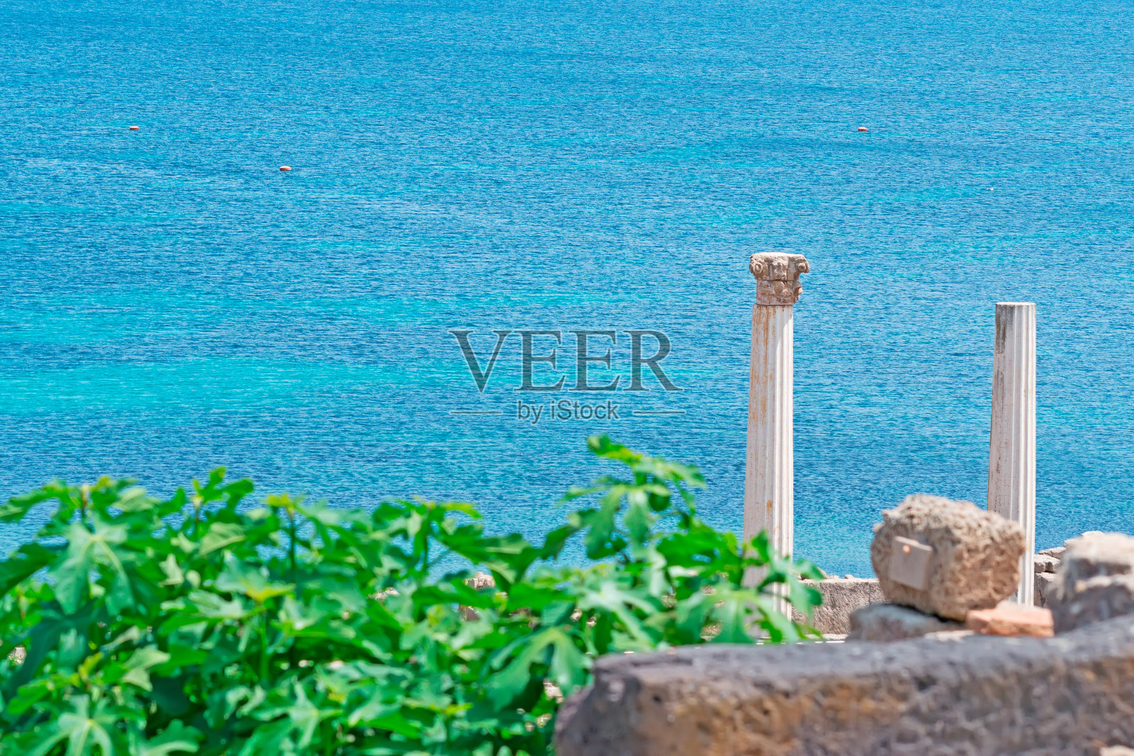 塔罗斯列照片摄影图片