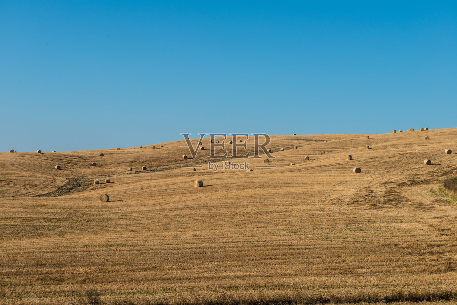 有bales照片摄影图片