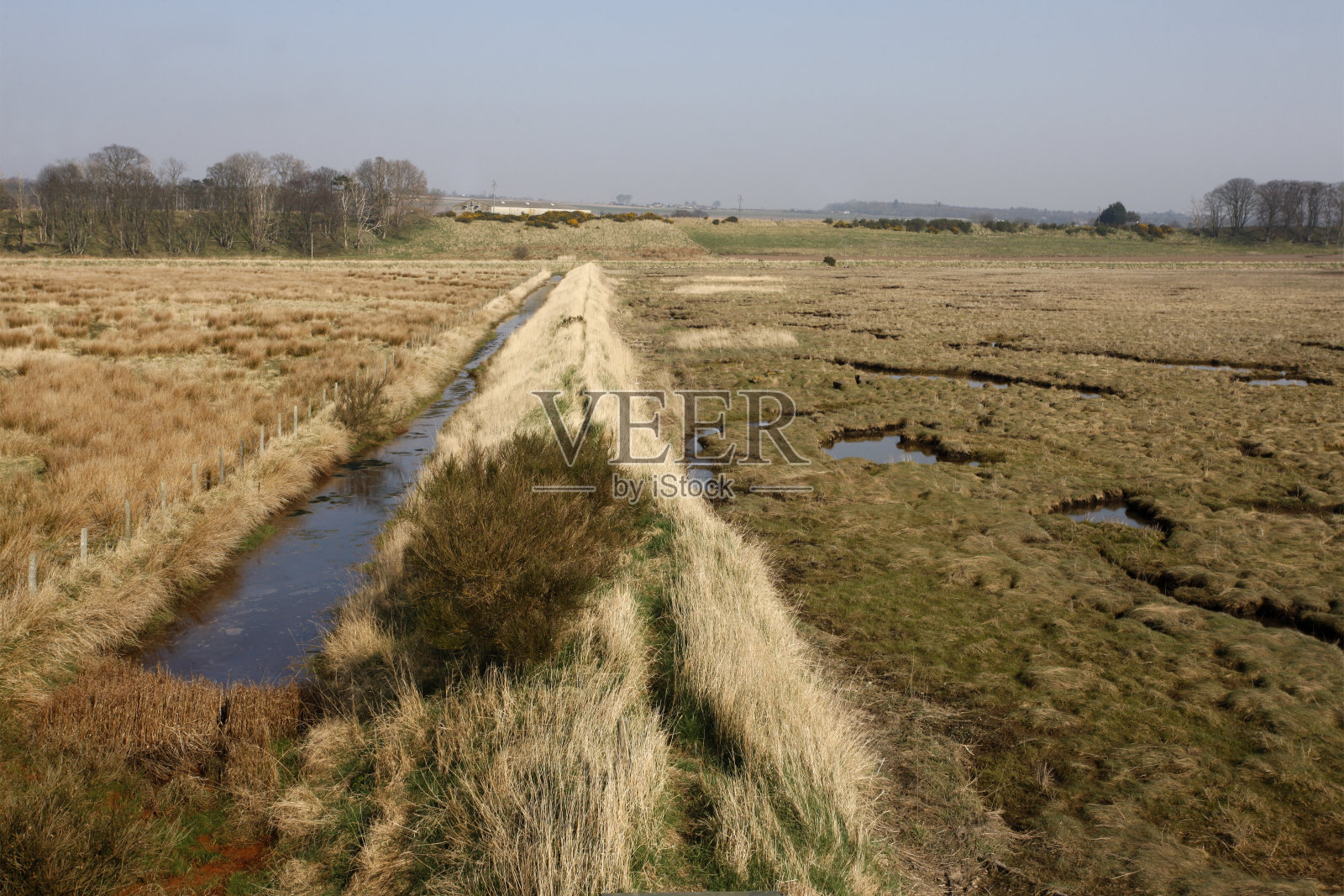 蒙特罗斯盆地照片摄影图片