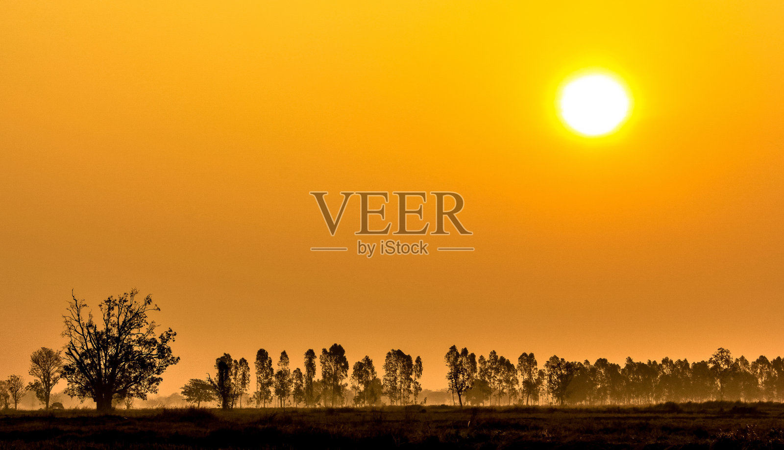 太阳的国家照片摄影图片