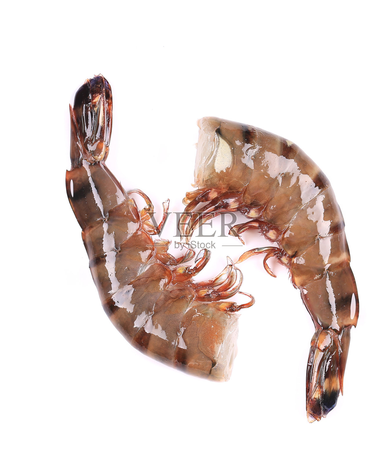 两个生虾。照片摄影图片