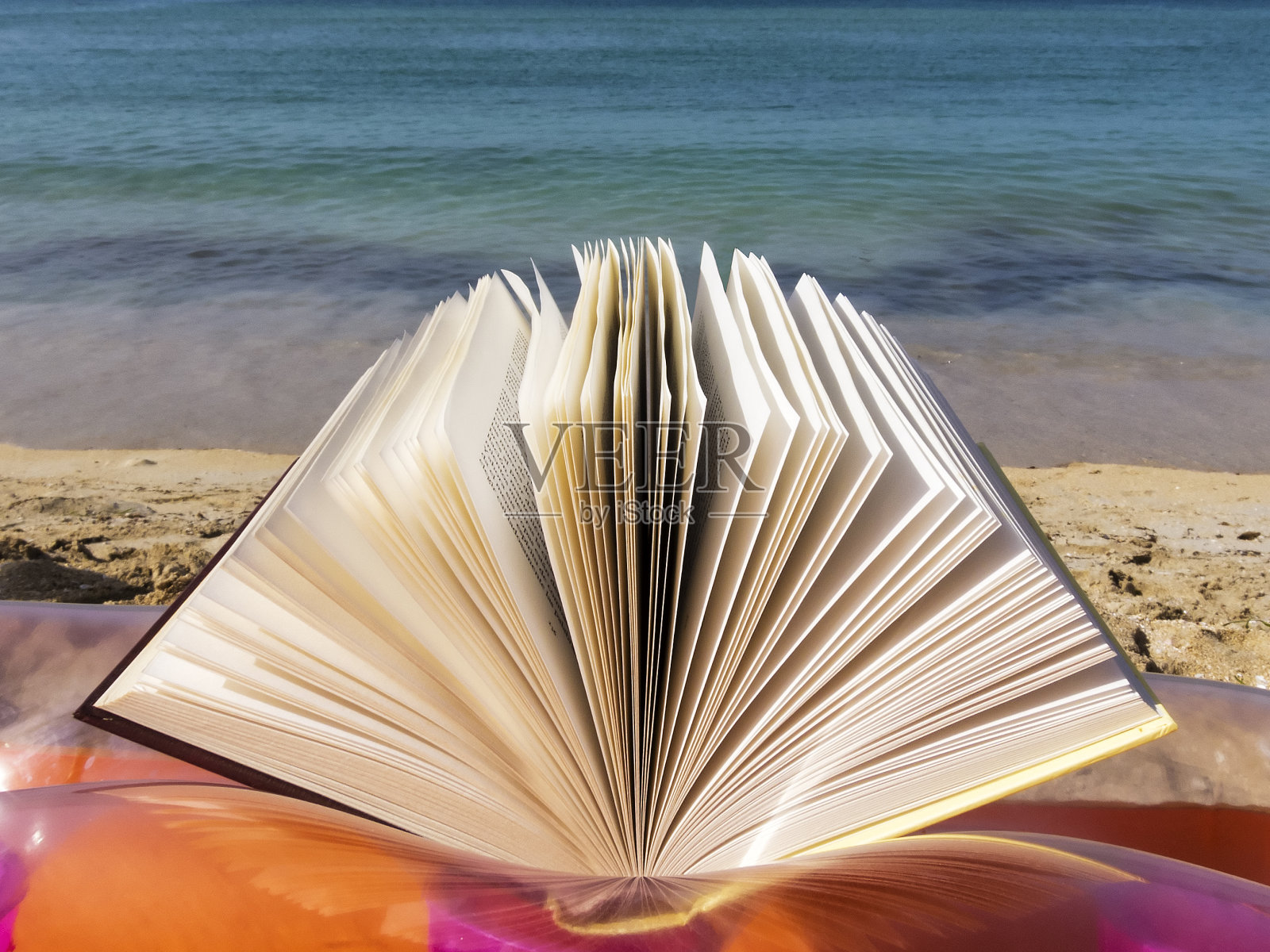 在海滩上看书照片摄影图片