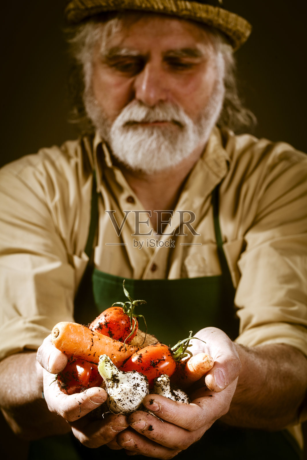 农民展示他的生物蔬菜照片摄影图片