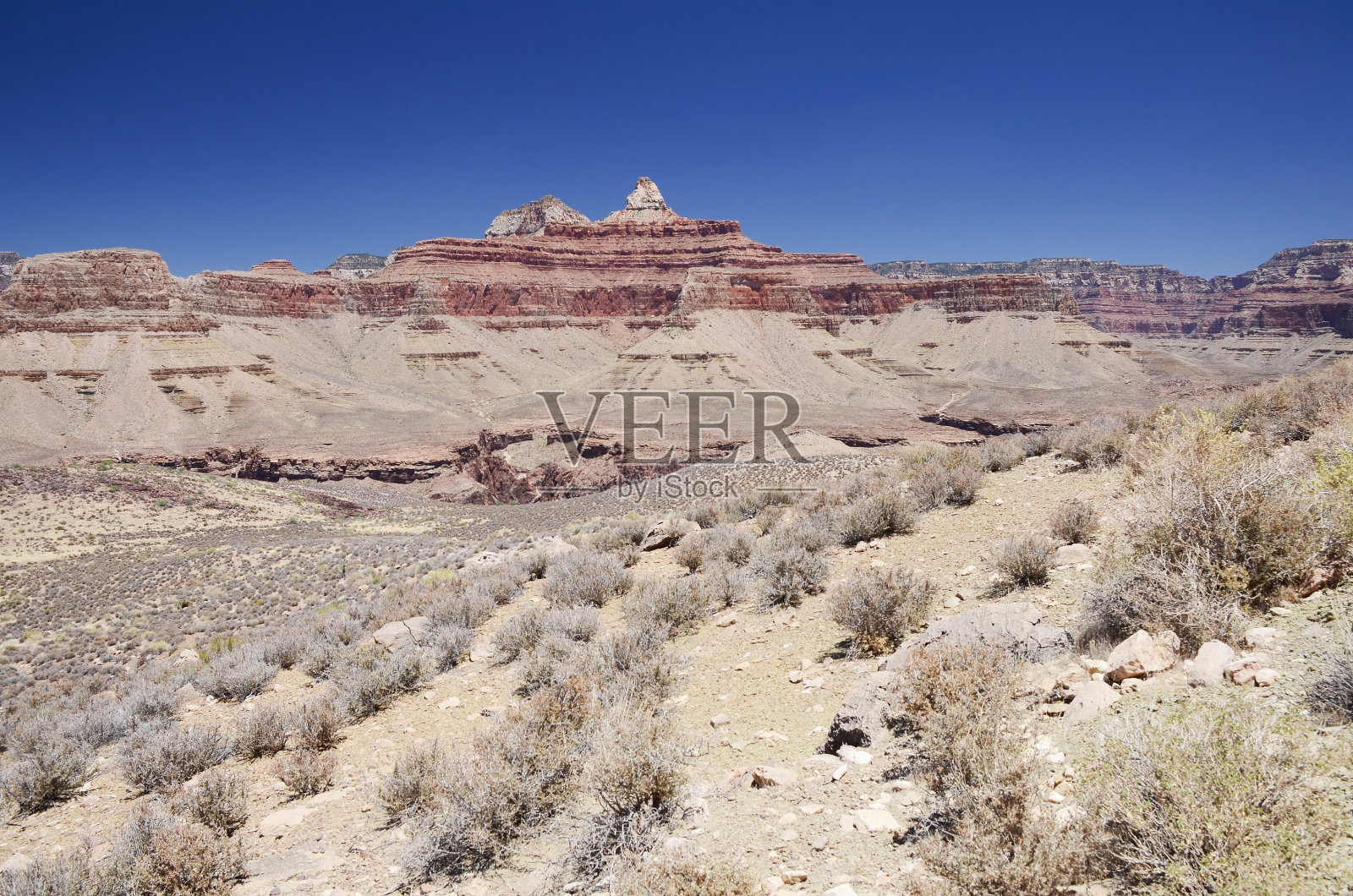 美国大峡谷景照片摄影图片