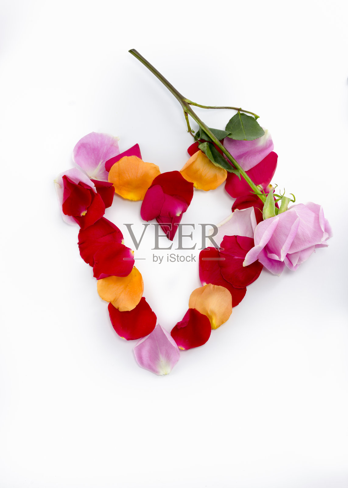 心形玫瑰花瓣照片摄影图片