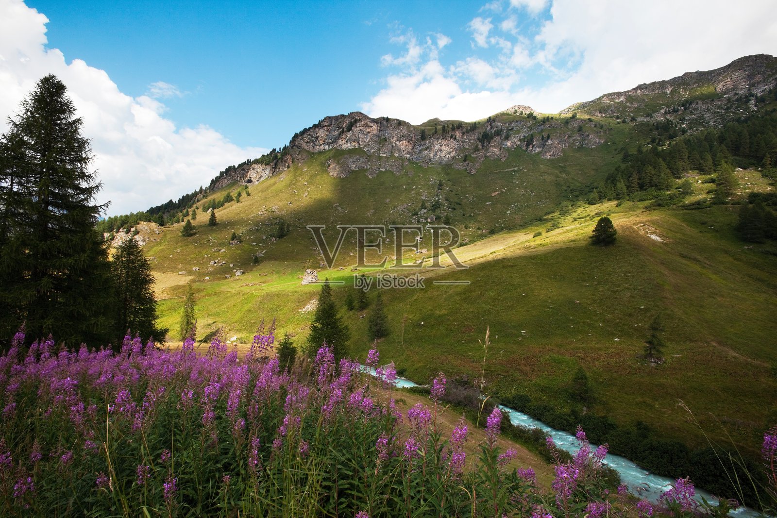 风景，山，牧场，草地，瑞士照片摄影图片