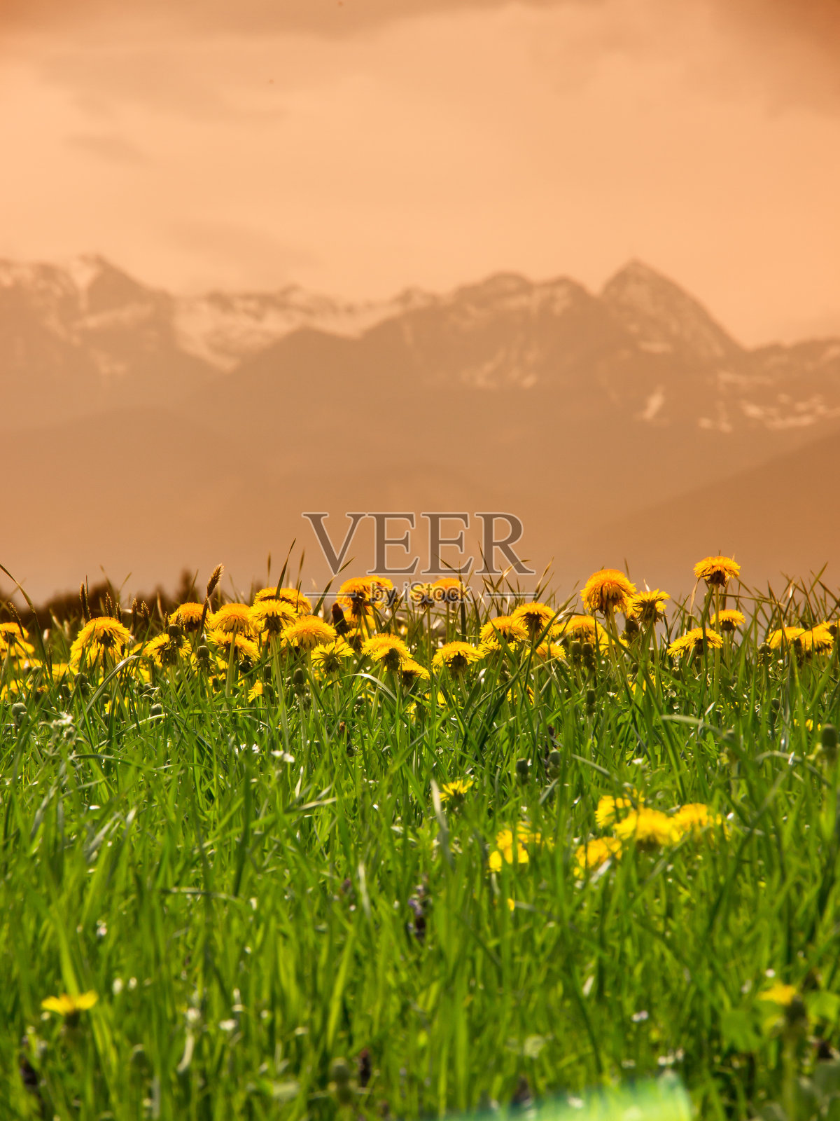 山温德尔斯坦照片摄影图片