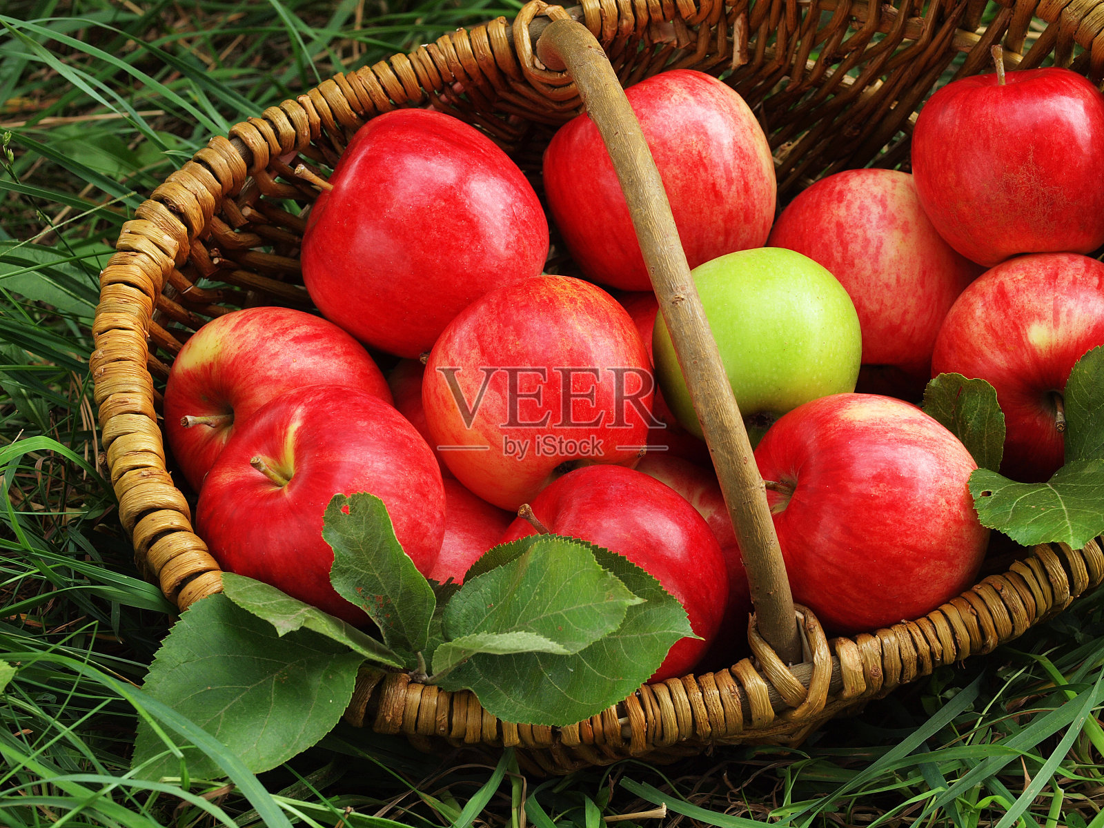 新鲜的苹果在篮子里照片摄影图片