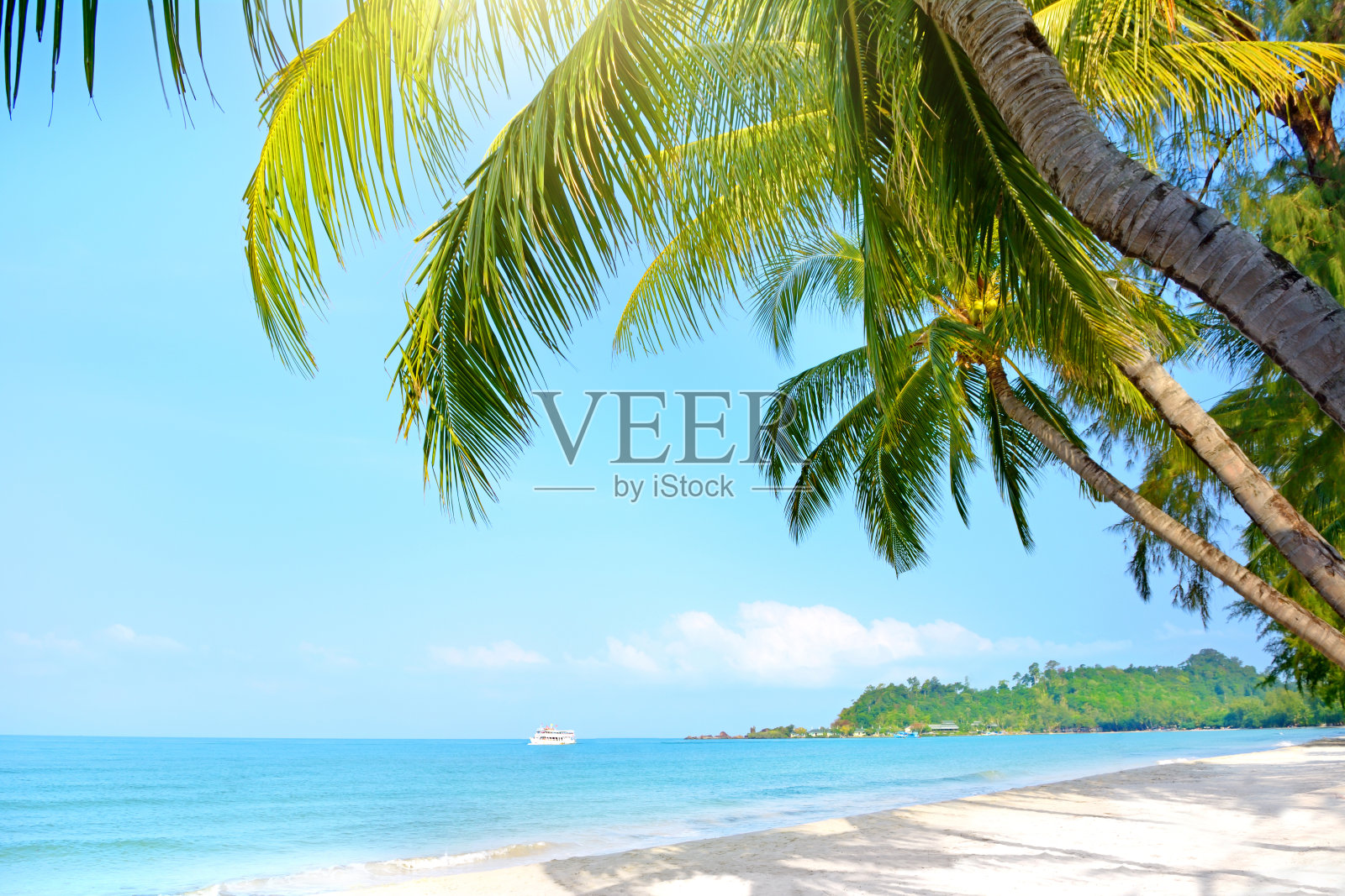 有棕榈树的海滩。运河Prao海滩照片摄影图片