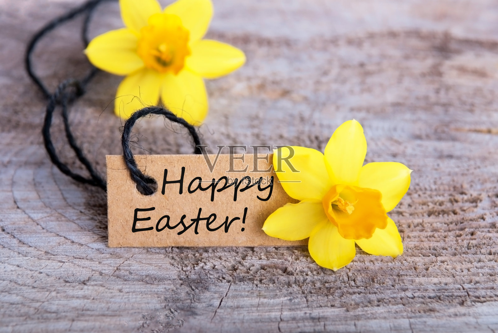 复活节快乐照片摄影图片