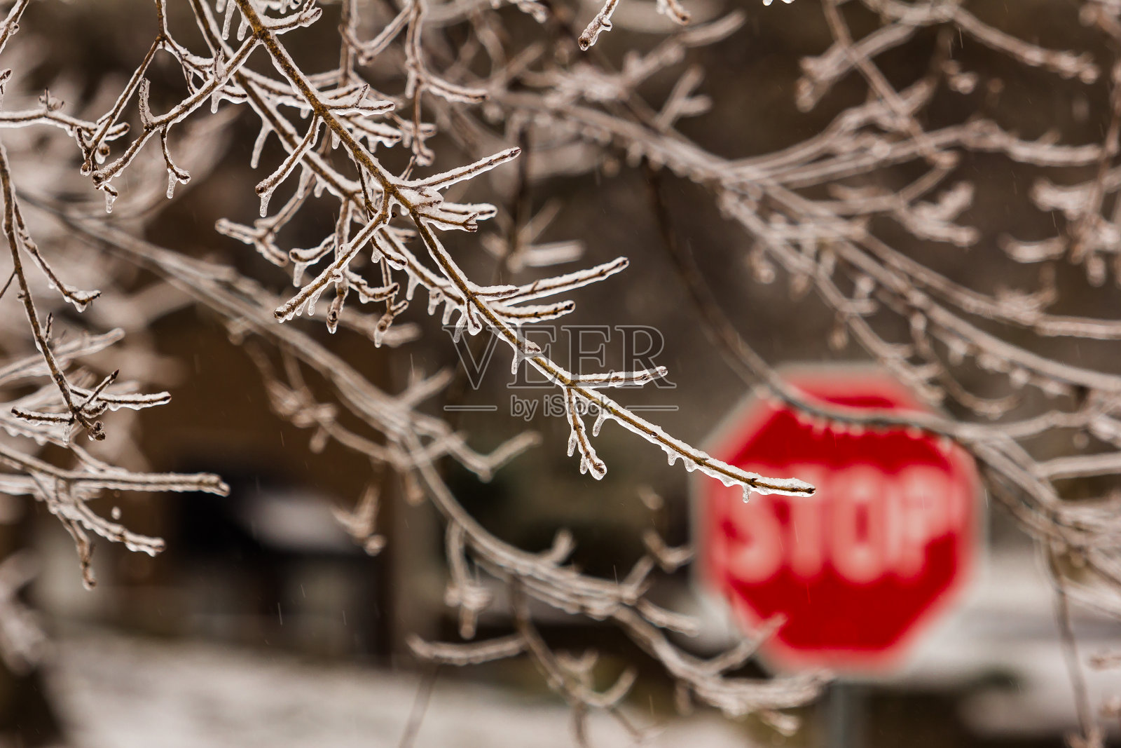 交通标志-冰雪旅行照片摄影图片
