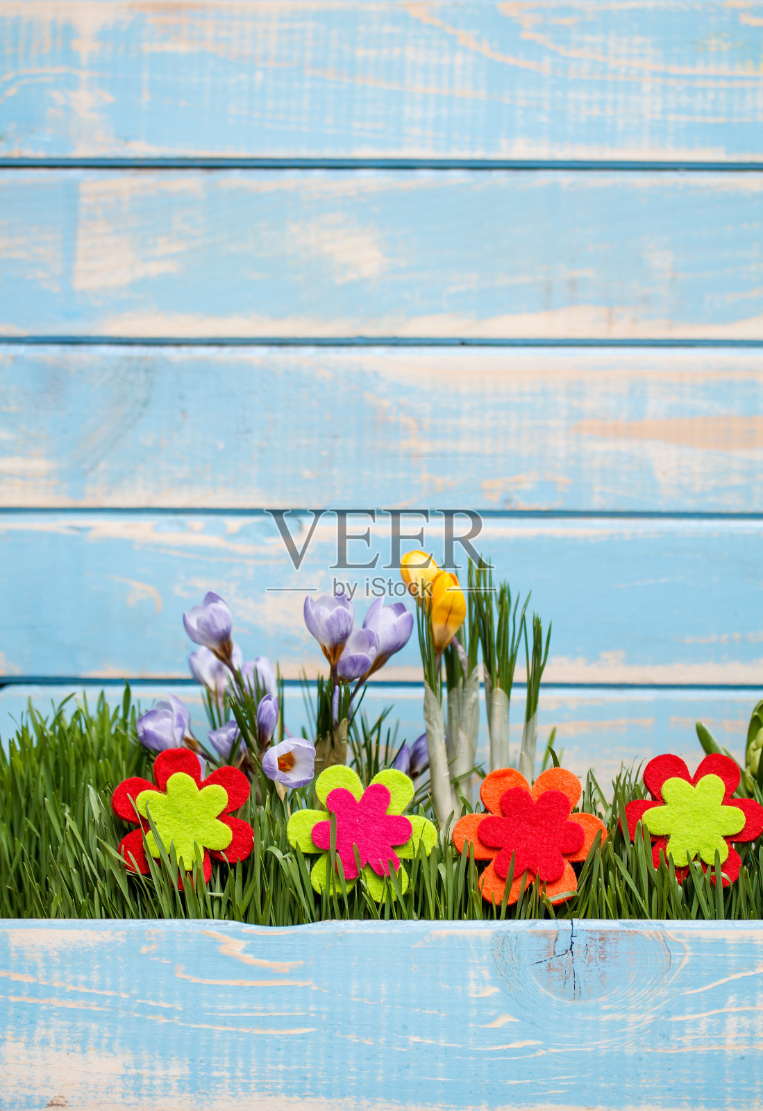 春天的时间照片摄影图片