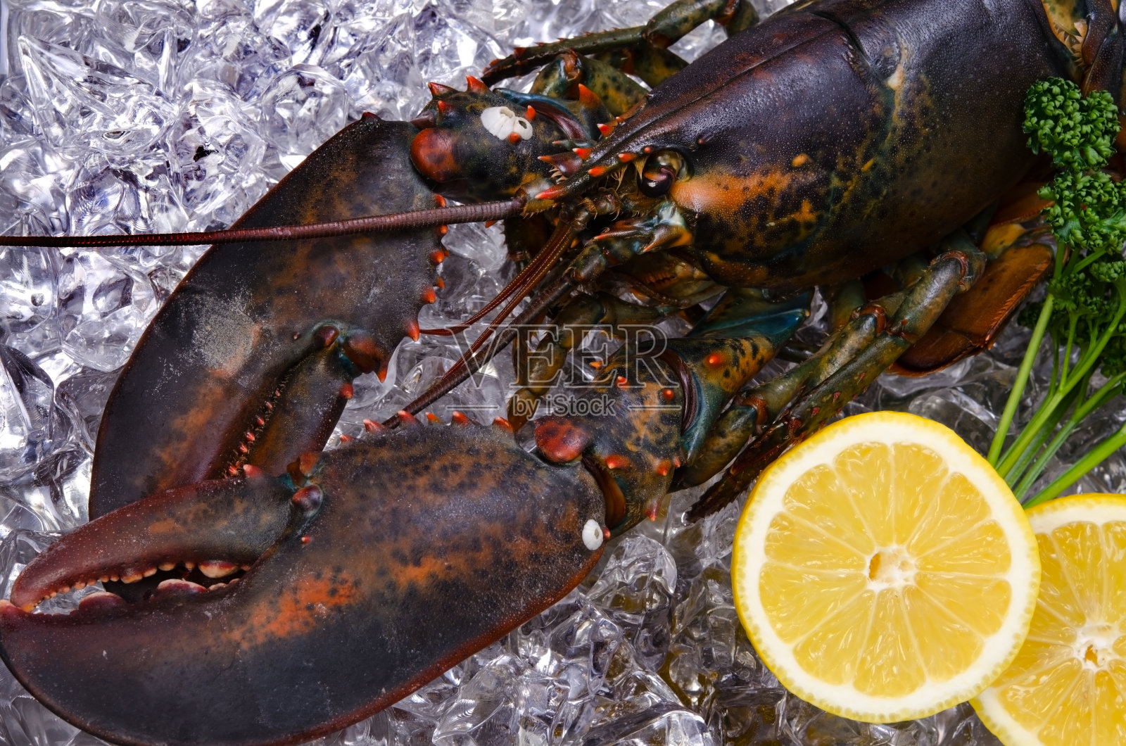 龙虾照片摄影图片