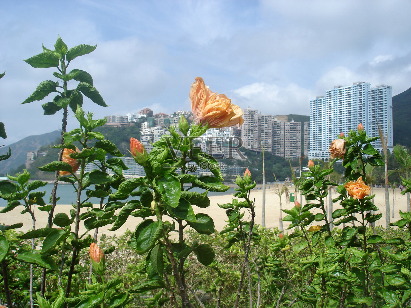 香港浅水湾照片摄影图片