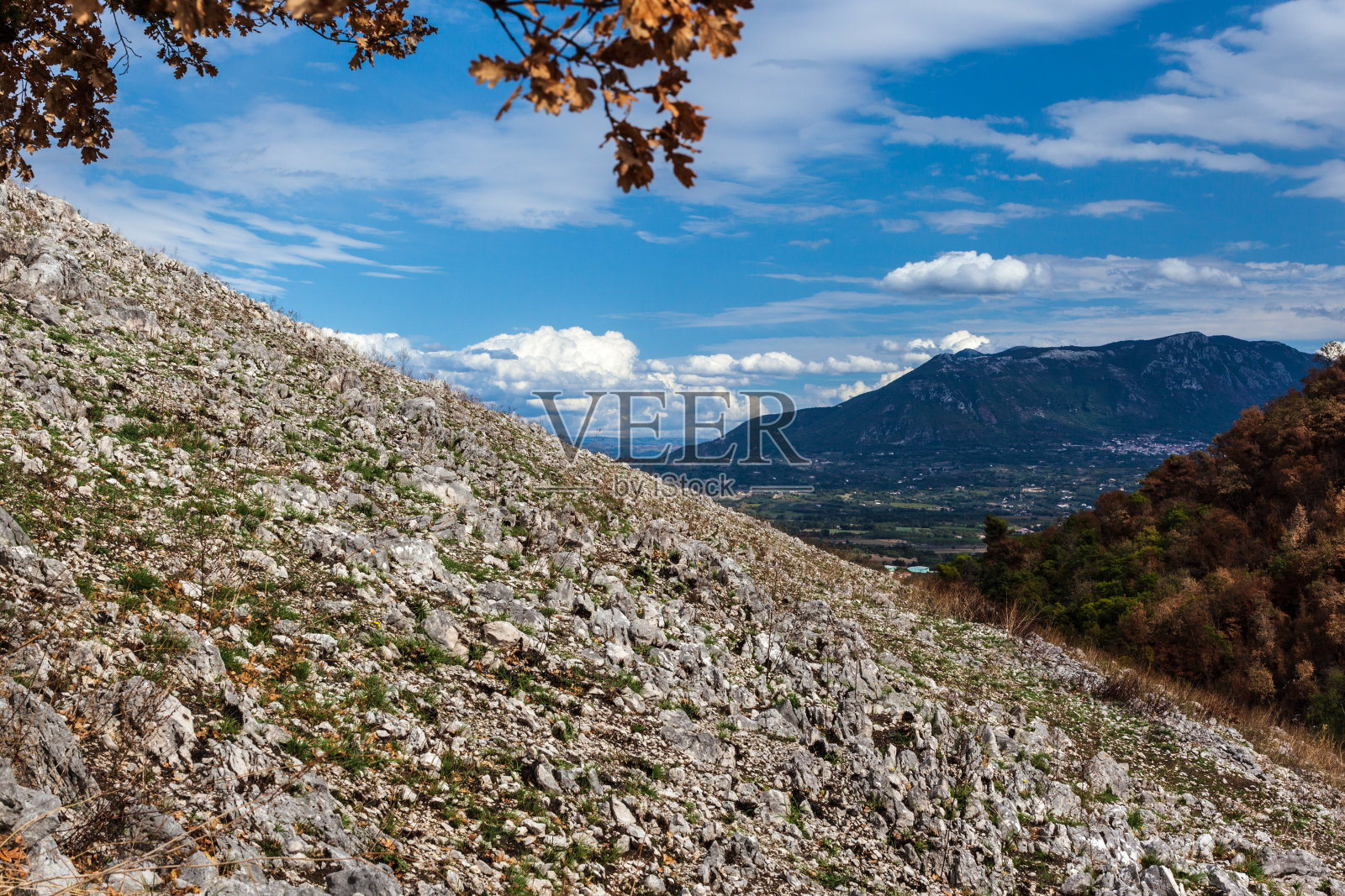 坡照片摄影图片