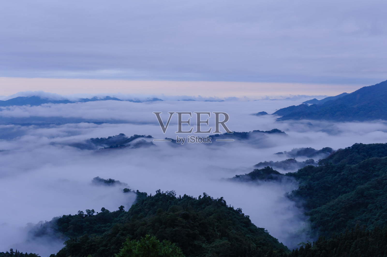 山上有树和雾照片摄影图片