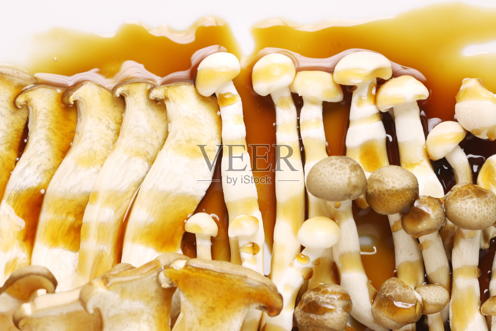 蘑菇配酱汁照片摄影图片