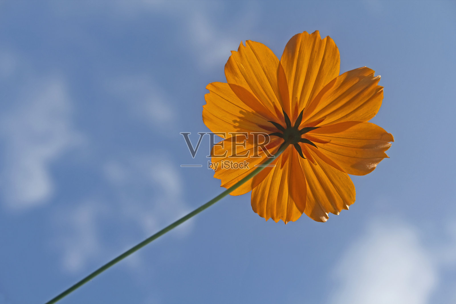 橙宇宙，硫宇宙，照片摄影图片