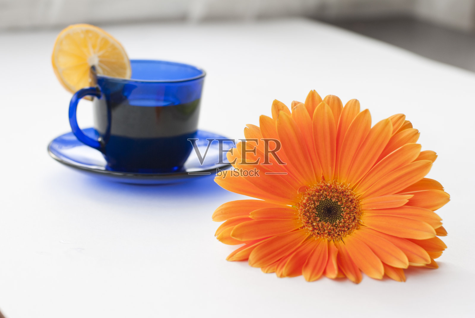 春天的早晨照片摄影图片