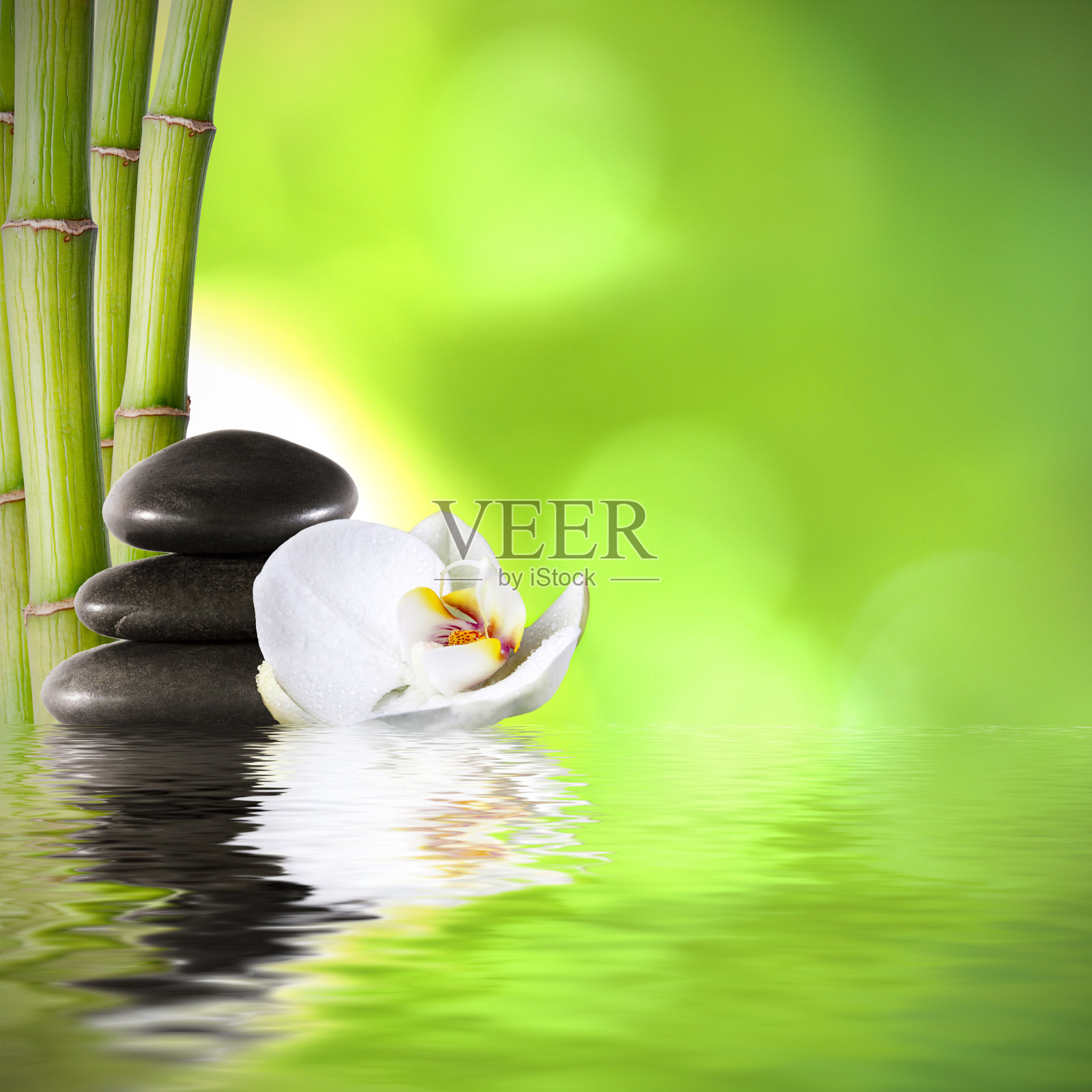 竹子照片摄影图片