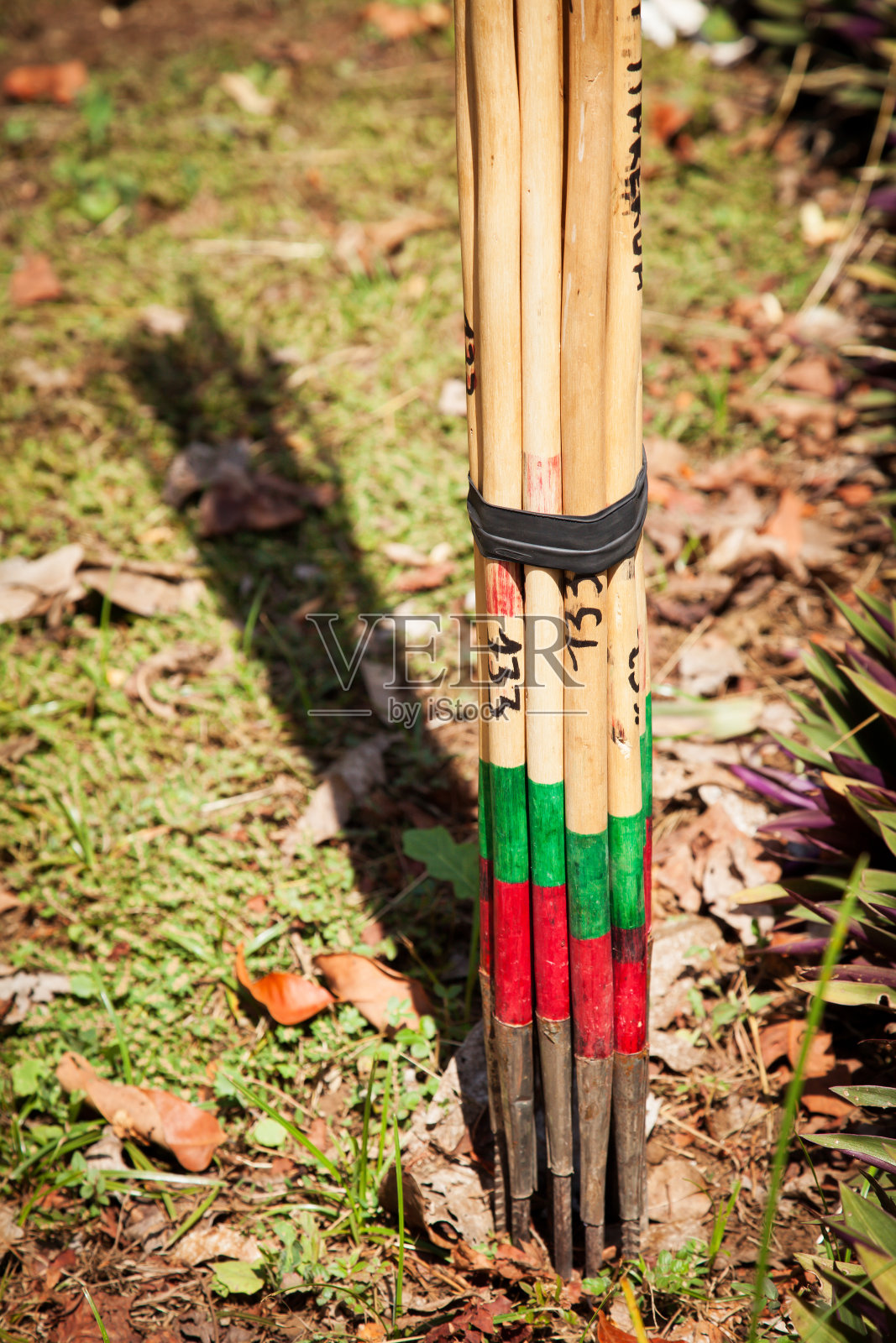 大溪地标枪照片摄影图片