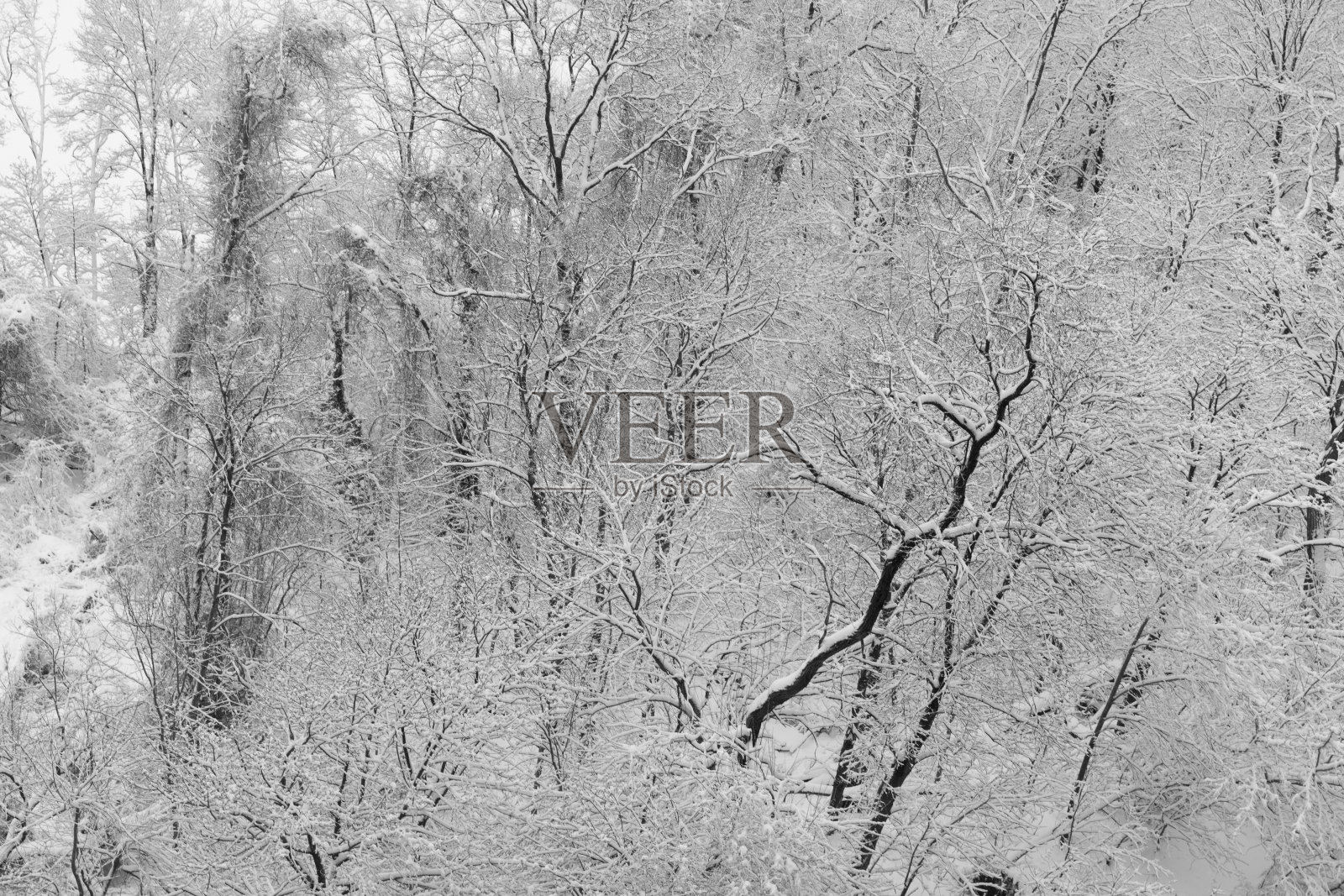 冬天的场景照片摄影图片