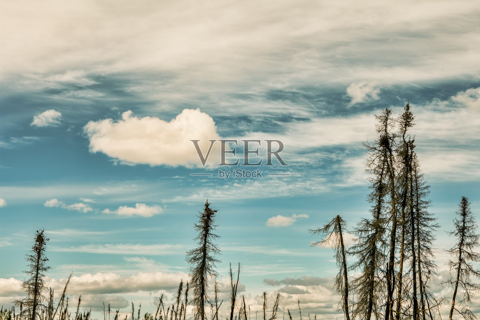 大火过后照片摄影图片