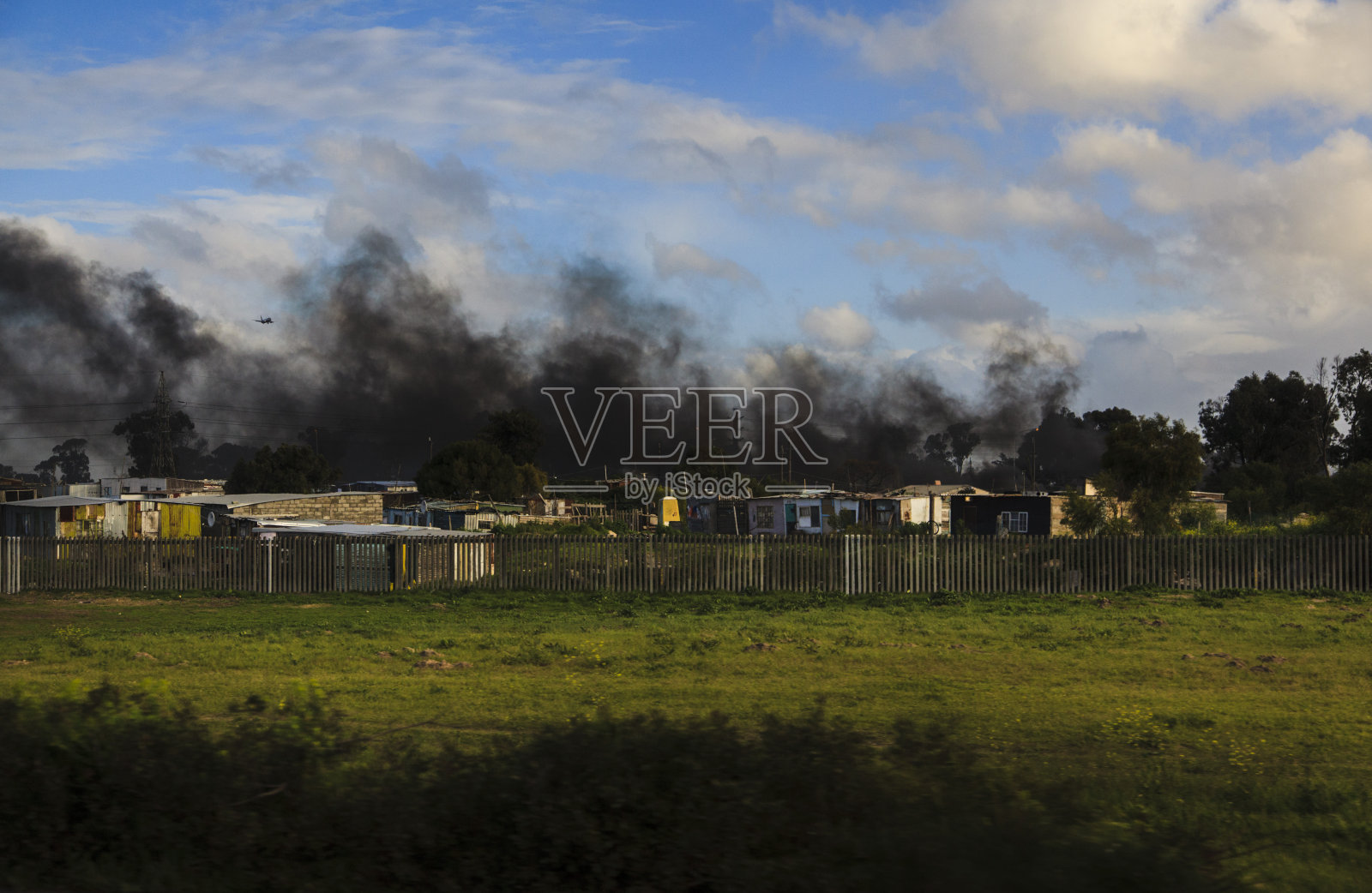 田野上的树木顶着天空照片摄影图片