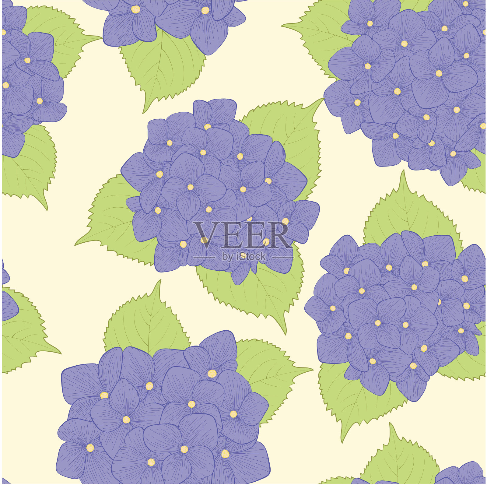 无缝背景与绣球花。插画图片素材