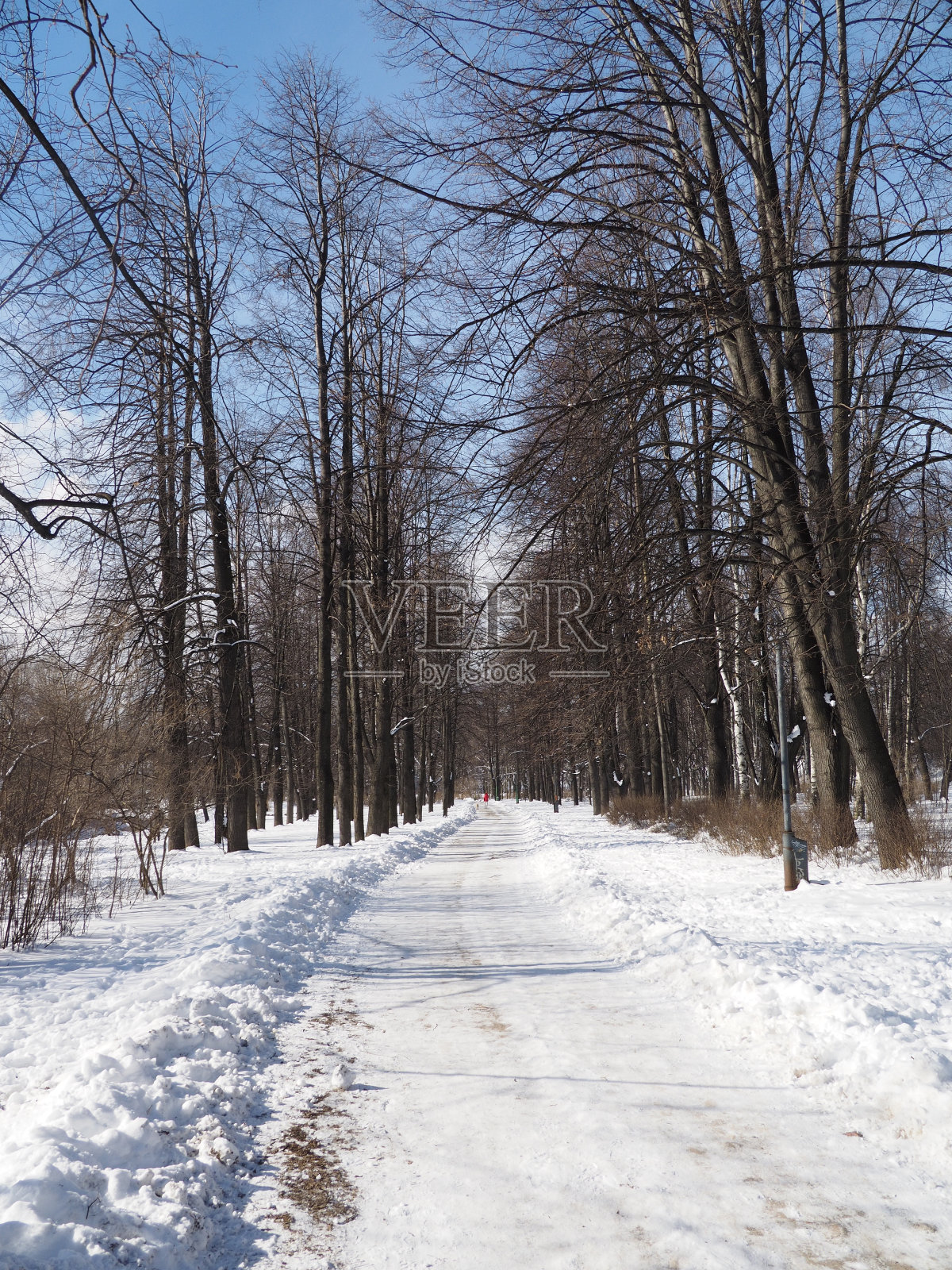 冬天的公园照片摄影图片