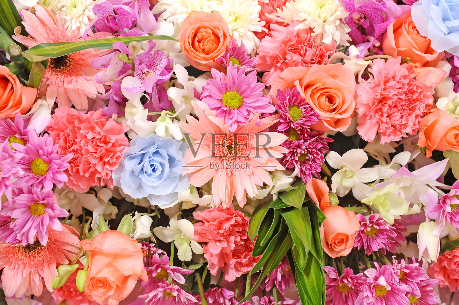 五颜六色的鲜花的背景照片摄影图片