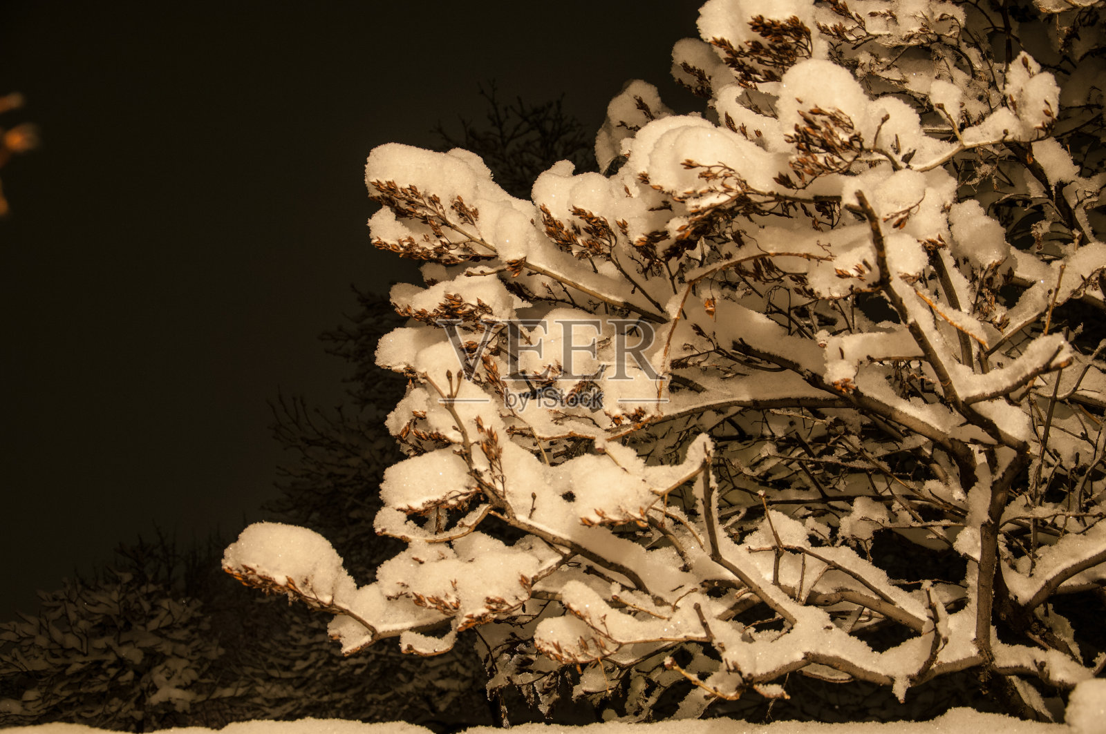 冬季霜冻日落照片摄影图片