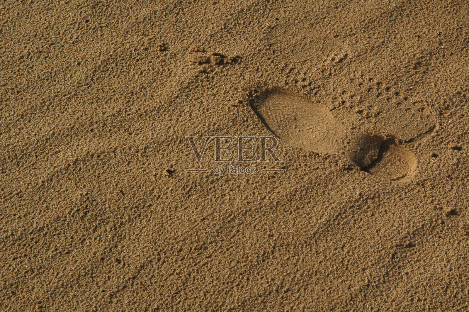 沙里的脚步声照片摄影图片