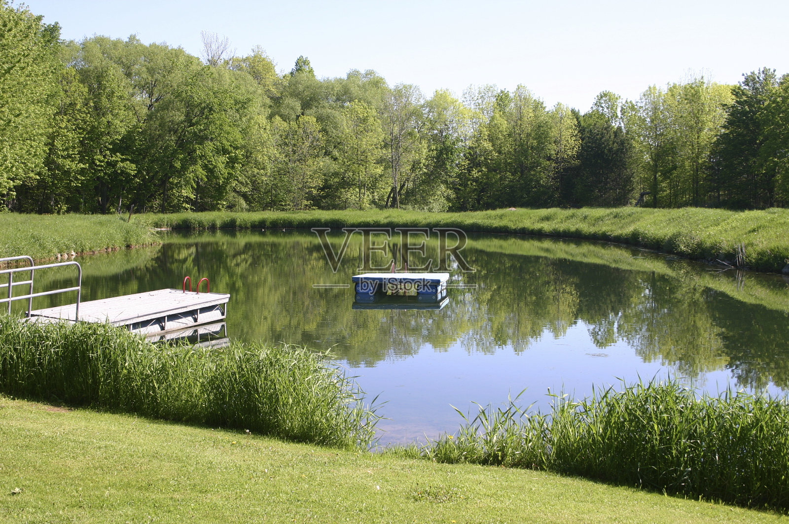 风景与平静的池塘水在一个阳光明媚的日子照片摄影图片